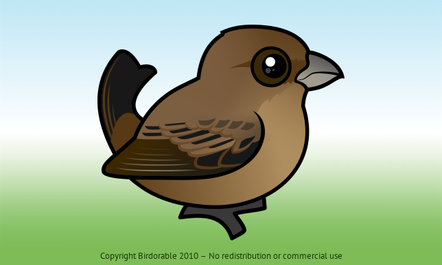 Birdorable Indigo Bunting Female