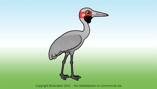 Birdorable Brolga 