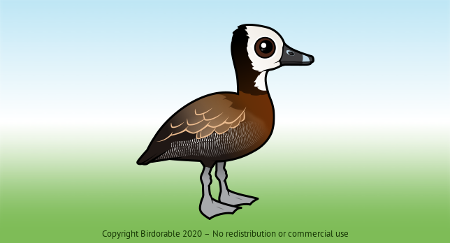 Birdorable White-faced Whistling-Duck 