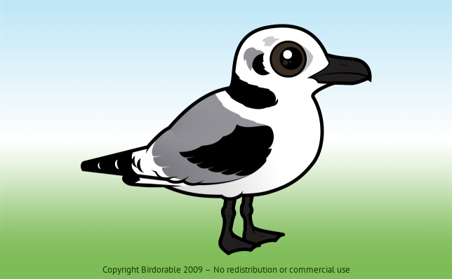 Birdorable Black-legged Kittiwake 1st Winter