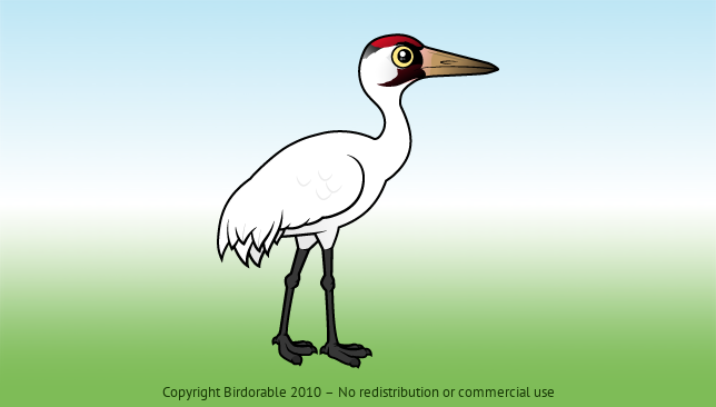 Birdorable Whooping Crane 