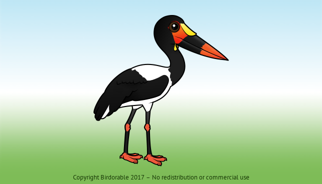 Birdorable Saddle-billed Stork 
