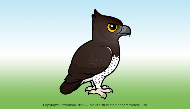 Birdorable Martial Eagle 