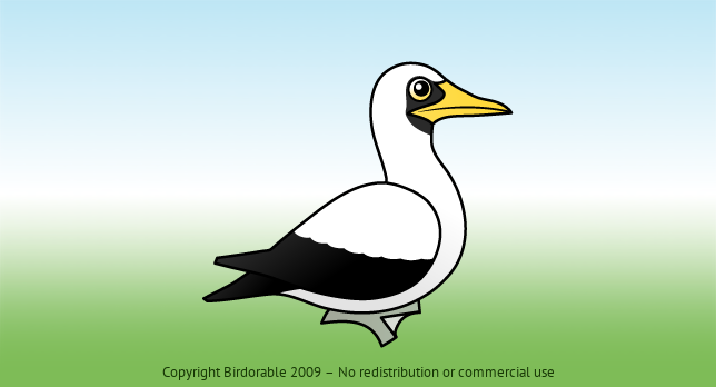 Birdorable Masked Booby 