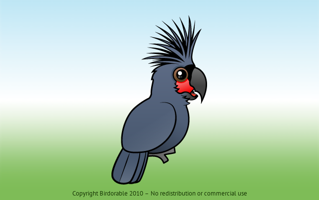 Birdorable Palm Cockatoo 