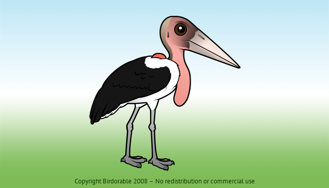 Birdorable Marabou Stork 
