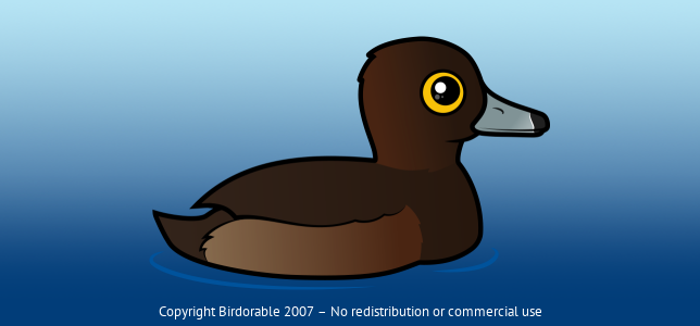 Birdorable Tufted Duck Female