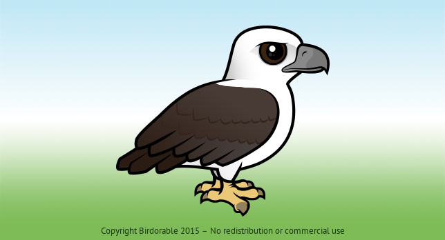 Birdorable White-bellied Sea Eagle 