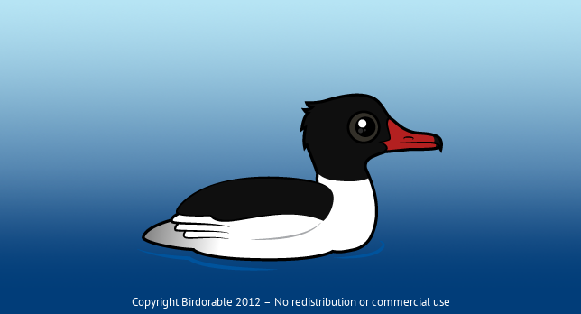 Birdorable Common Merganser 