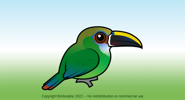 Birdorable Northern Emerald Toucanet 