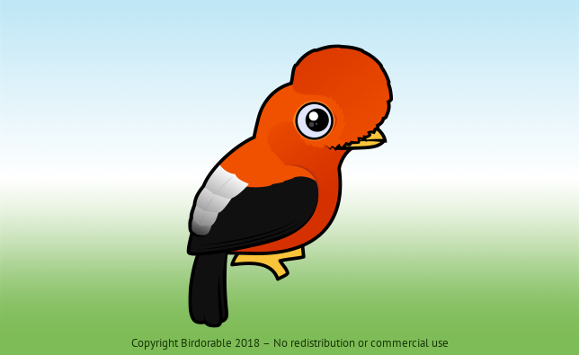 Birdorable Andean Cock-of-the-rock 
