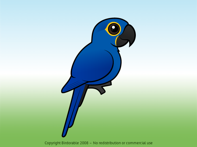 Birdorable Hyacinth Macaw 