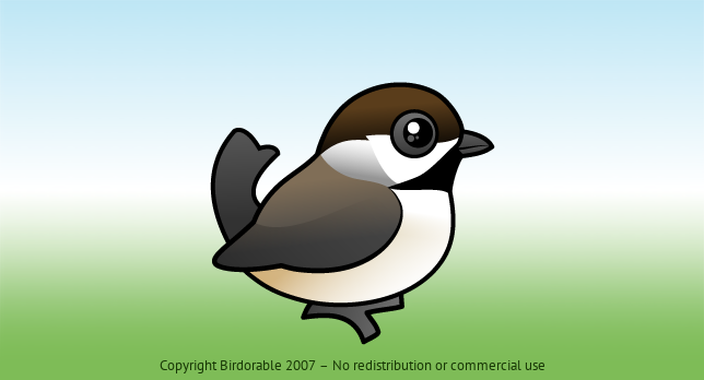 Birdorable Boreal Chickadee 