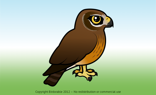 Birdorable Northern Harrier Female