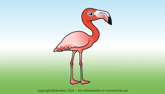 Birdorable American Flamingo 
