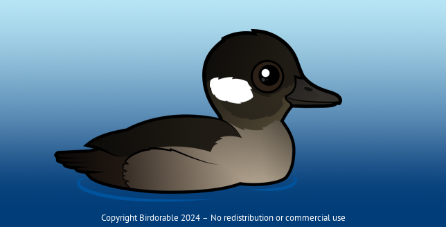 Birdorable Bufflehead Female
