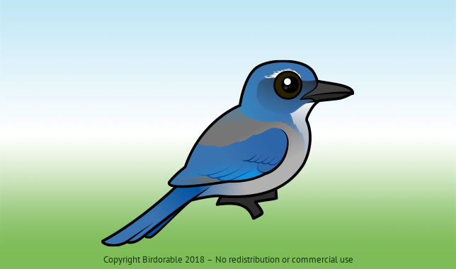 Birdorable Woodhouse's Scrub-Jay 