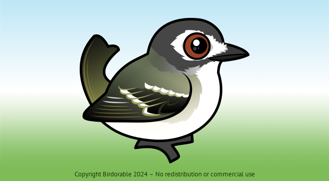 Birdorable Black-capped Vireo Female