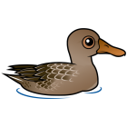 Thumbnail of Birdorable Northern Shoveler Female