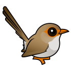 Thumbnail of Birdorable Superb Fairywren Female