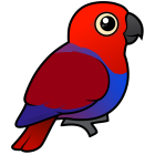 Thumbnail of Birdorable Eclectus Parrot Female