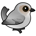 Thumbnail of Birdorable Bushtit Interior