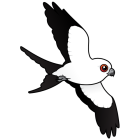 Thumbnail of Birdorable Swallow-tailed Kite In Flight