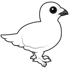 Thumbnail of Birdorable Willow Ptarmigan Winter