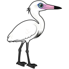 Thumbnail of Birdorable Reddish Egret White Morph