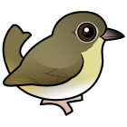 Thumbnail of Birdorable Common Yellowthroat Female