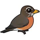 Thumbnail of Birdorable American Robin Female