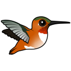Thumbnail of Birdorable Rufous Hummingbird In Flight