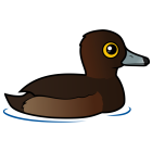 Thumbnail of Birdorable Tufted Duck Female