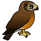 Thumbnail of Birdorable Northern Harrier Female