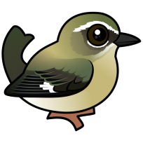 Black-throated Blue Warbler