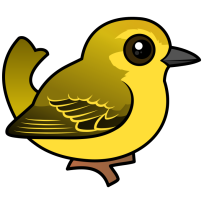 Yellow Warbler