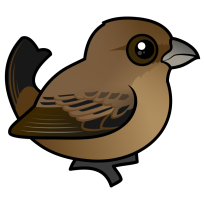 Indigo Bunting