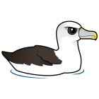 Thumbnail of Birdorable Shy Albatross Swimming