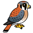 Thumbnail of Birdorable American Kestrel Male