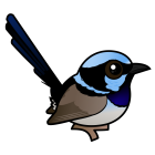 Thumbnail of Birdorable Superb Fairywren Male