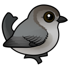 Thumbnail of Birdorable Bushtit Pacific