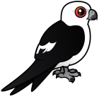 Thumbnail of Birdorable Swallow-tailed Kite Perched