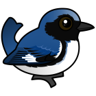 Thumbnail of Birdorable Black-throated Blue Warbler Male