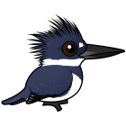 Thumbnail of Birdorable Belted Kingfisher Male