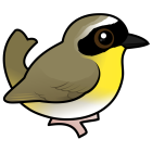 Thumbnail of Birdorable Common Yellowthroat Male