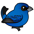 Thumbnail of Birdorable Indigo Bunting Male