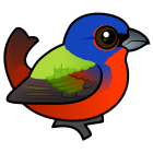 Thumbnail of Birdorable Painted Bunting Male
