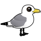 Thumbnail of Birdorable Black-legged Kittiwake Adult