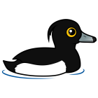 Thumbnail of Birdorable Tufted Duck Male