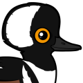 Birdorable Hooded Merganser